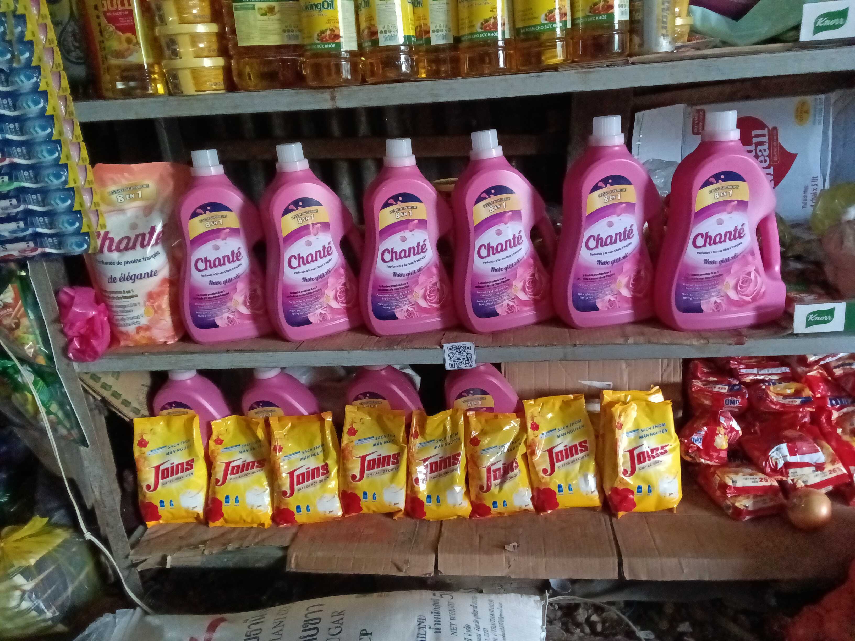 Beyond the Billions: Navigating the Complexity of FMCG Field Audits and the AI Opportunity