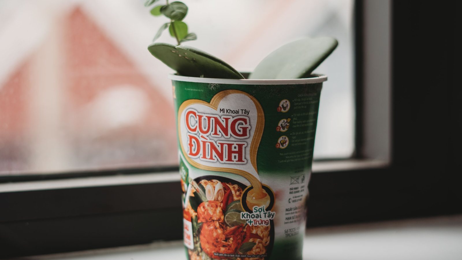 AI Visibility for Instant Noodles: Fatal Display Scoring Mistakes