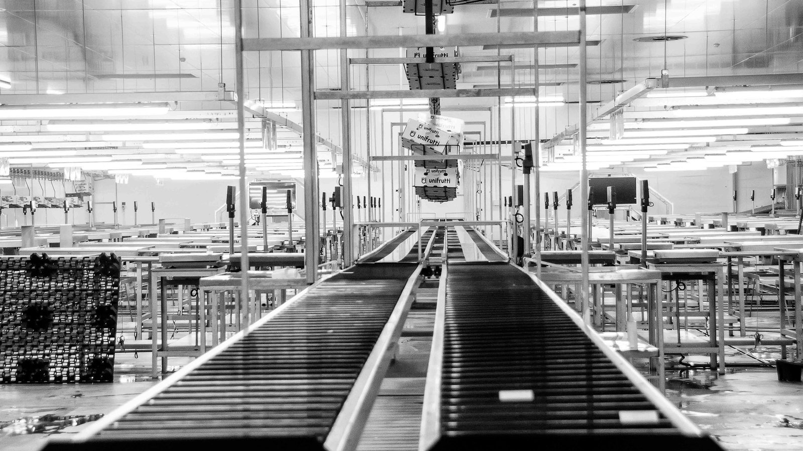 True Cost of AI Camera for Filling Lines & ROI Calculation
