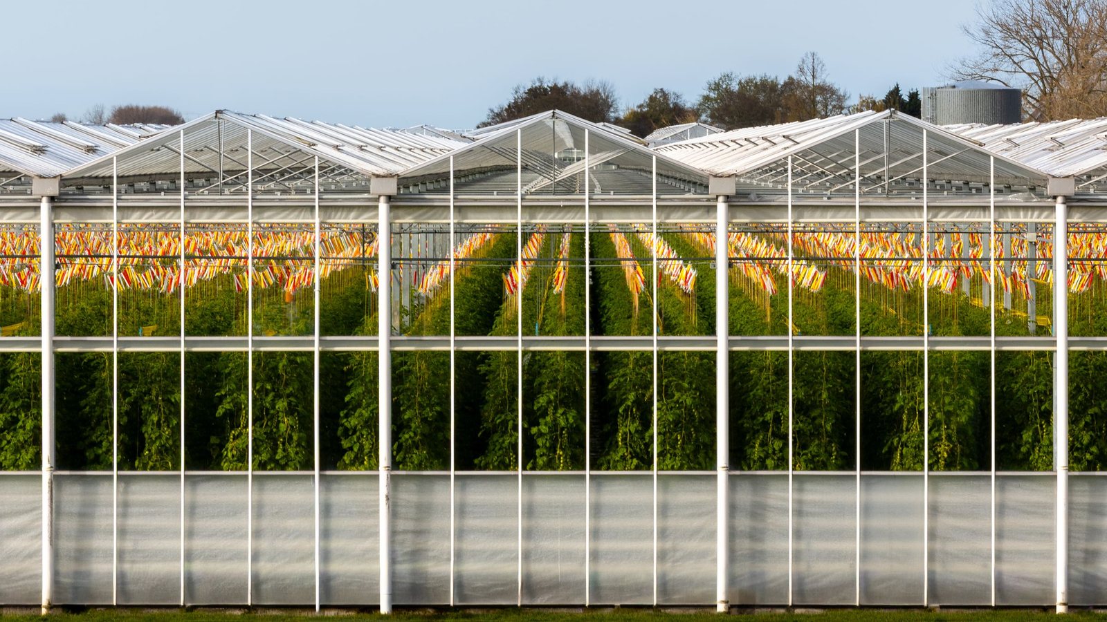 Pre-Deployment Checklist for AI Cameras in Agriculture